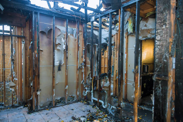 Professional Fire Damage Removal technician working in Crisfield, MD